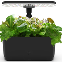 AeroGarden Harvest Lite in Black, SoilFree Indoor Hydroponic Garden with LED Grow Light for YearRound Gardening of up to 6 Herbs and Vegetables