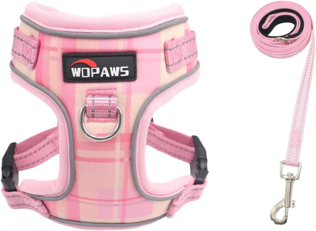 No Pull Dog Harness and Leash Set-Reflective Plaid Design, Adjustable & Comfortable with Front D Ring for Small Medium Dogs (XS, Pink Plaid)