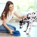 PetLike Ants Away Dog Bowls Pet Food Bowls, No Spill Cat Food Bowl Water Food Feeder Pet Dishes for Cat Puppies Small Medium Dogs