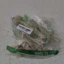 GUSYXO 16 Inch Cute Horror Party Decorations Indoor Outdoor Haunted House Props Poseable Hybrid Small Skeletons Decor: Funny Skull for White Elephant Gifts