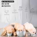 AVERYDAY 21oz Stainless Steel Dog Bowls Set, 2 Pack for Replacement Dogs Bowl Stand, 2.6 Cups Metal Dog Bowls, 5 Inch Small Dogs Water Bowl for Raised Feeder with Opening 5.67-5.91"