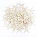 24 PCS Starfish, Mixed Starfish 2" to 3" and 3" to 4" Natural Seashells Starfish White Starfish Ornaments Perfect for Wedding Beach Theme Party Home Decorations, DIY Crafts, Fish Tank