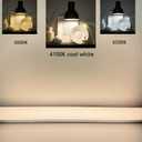 4 Pack F14T8/CW Fluorescent Light Bulb,T8 14 Watts 4100K Cool White T8 Linear Tube, G13 Medium Bi-Pin Base,14.75 inch Overll Length