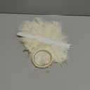 Holmgren Beige Ostrich Feathers Bulk - 20pcs Making Kit 22 Inch Boho Ostrich Feathers for Vase, Floral Arrangement, Wedding Party Centerpieces and Christmas Home Decorations (Beige)