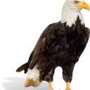 3FT Bald Eagle Cardboard Cutout Standee for 4th of July Decorations, Patriotic 250 Anniversary Decorations, Life-Size Bald Eagle Photo Booth Props, Animal Birthday Backdrop 26.6x35.4