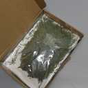 HyDren 100 Pcs Christmas Preserved Real Pine Branches Leaves Greenery Pine Picks Natural Dried Greenery Plants Twigs Wreath Decorations for Christmas Home Decor Indoor Outdoor (6 Inches)