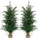 3FT Artificial Norfolk Pine Trees with Real Touch Leaves, 2 Pack