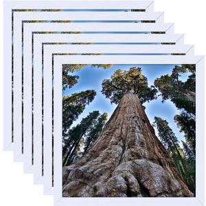 6x6 Square Picture Frame White Photo Frames Display for Wall and Tabletop, Set of 6