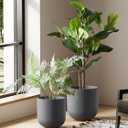 LE TAUCI 10 Inch Plant Pot, Ceramic Pots for Plants with Drainage Hole and Rubber Plug, Plant Pots Indoor for Home Garden Patio Office, Cylinder Planters for Indoor Plants, Charcoal Gray