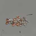 GORAIS Bride Wedding Hair Vine Pearl Bridal Headpieces Leaf Hair Accessories for Women and Girls(b-rose gold)