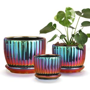 Ton Sin Flower Pots, Purple Ceramic Plant Pots Set of 3,Small Glazed Succulent Pots with Drainage Hole,Cactus Planter with Saucer,Outdoor Garden Pots (Colorful Gold)