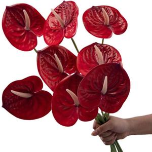 Corkwaw 8 Pcs 23-5/8 inch Artificial Anthurium Flowers Real Touch Fake Flower for Table Centerpieces Arrangement and Bridal Wedding Festival Decor Flower Arrangement (Red)