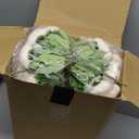 Zeyune 37 Pack Artificial Peonies Flowers with Bud Vase Bulk 24 Bundles Silk Peonies Bouquets 12 Plastic Clear Vase with 1 Rope Fake Flowers for Table Centerpiece Vases(Coffee,Perfume)