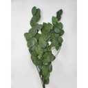 Spring Decor Pick 5 Packs