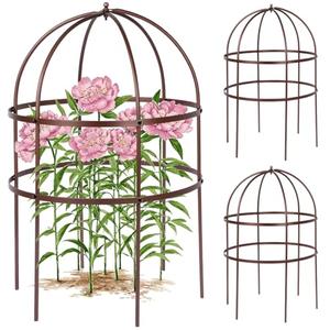 HEYTIMI 2 Pcs Jardin Bird Cage Plant Support 24" H Large Sturdy Grow-Through Flower Support Peony Cage Climbing Plant Support Trellis Sculptural Garden Decor for Perennial Flowers (Vintage Gold)