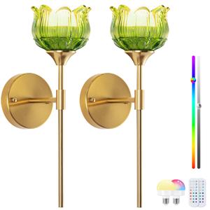 Rnzziw Battery Operated Wall Sconces Set of 2, Wireless Wall Sconce with USB, Rechargeable LED Light Bulbs 12 Colors Industrial Brushed Brass Wall Lamp for Bedroom Living Room, Bulbs Included (Green)