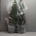 Artificial Topiary Trees 3 Foot Artificial Cedar Trees UV Resistant Potted Plant Set of 2 Faux Bushes Fake Shrubs for Outdoor Indoor Front Porch Garden