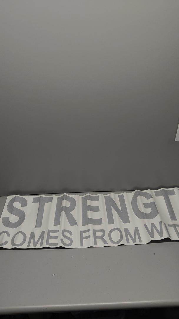 SEATUNE Motivational Office Gym Wall Decals - Inspirational Quotes Wall Stickers - Positive Home Vinyl Art Wall Decor - Strength Comes from Within 45"X12.6"