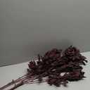 Lyrow 6 Pack Artificial Cimicifuga Plant Leaf Spray Faux Plum Faux Fall Spray Silk Plants Cimicifuga Plant Leaf Branch for Home Vase Wedding Garden Farmhouse Table Mantel Decor (32 Inches)