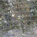 Flower Wall Backdrop 6 Panels 24x16 Inch Dusty Blue