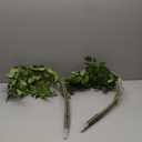 6 Pcs 6pcs Faux Stems and Branches for Vase 31.5inch Fake Plants Artificial Greenery Stems Faux Branches for Home Vase Wedding Garden Farmhouse Table Mantel Decor