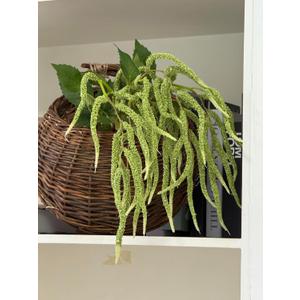 3Pcs Artificial Amaranthus Flower Fake Hanging Green for Wedding Bouquets Home Decor Arrangement Photo Props Party Decoration 37''(Green)