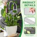 2 Pack Small Plant Trellis for Pots Indoor, Clear Acrylic Hoya Pothos Trelli with 20 Ties
