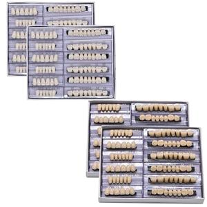 LVDXVG False Teeth Fake Teeth Acrylic Resin Teeth, 168pcs Teeth Upper and Lower Synthetic Resin Teeth for Replacement DIY Halloween (23A3)