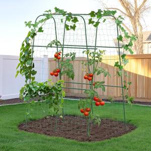 HIRALIY Cucumber Trellis for Climbing Plants Outdoor, 5.25ft Tall Heavy Duty Metal Garden Arch Trellis, Rustproof Plant Support Tunnel for Tomato, Grape, Bean, Raised Bed and Vegetable Gardens, Green (66"L x 36"W x 63"H-Tunnel Trellis)