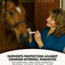 Horse Paste 1.87%  Apple Flavored Wormer  6.08g Tube  Treats Up to 1250 lb (EXP 10/31/27)