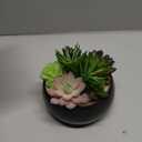 MyGift Mini Artificial Succulent in Pot, Fake Plant Arrangement in Black Ceramic Planter Bowl