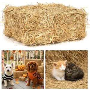 Natural Wheat Straw  3 LB Clean Dry Straw Bale for Stray Cats & Dogs, Soft Straw Bedding for Cat Shelter, Hay Bales for Decoration, Yard or Farm Use