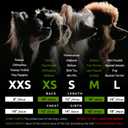 Fitwarm Christmas Dog Costume Dress, Funny Dog Holiday Outfit, Doggy Clothes for Small Dogs Girl, Pet Apparel, Green, Red, XXS (Gift)