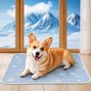 BWX Cooling Mat for Dogs - Easy Clean & Fold Cool Mat for Dogs, Chew Resistant Dog Cooling Pad with Non-Slip Bottom & Chill Soothing Fabric (M/20''28'')