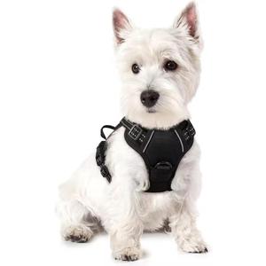 Small Dog Harness No-Pull, Adjustable, Breathable Mesh for Beagle, Border Collie, Aussie Shepherd & Similar Breeds (S)