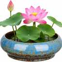 Toddmomy Lotus Bowl Planter Bonsai Pot Water Lily Bowl Succulent Planter Ceramic Flower Pot Shallow Decorative Container for Home Office Garden Balcony (No Drainage Hole)