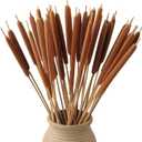 Dried Natural Cattails - 20PCS for DIY Floral Arrangements and Home Office Decor - 17 Inch Length