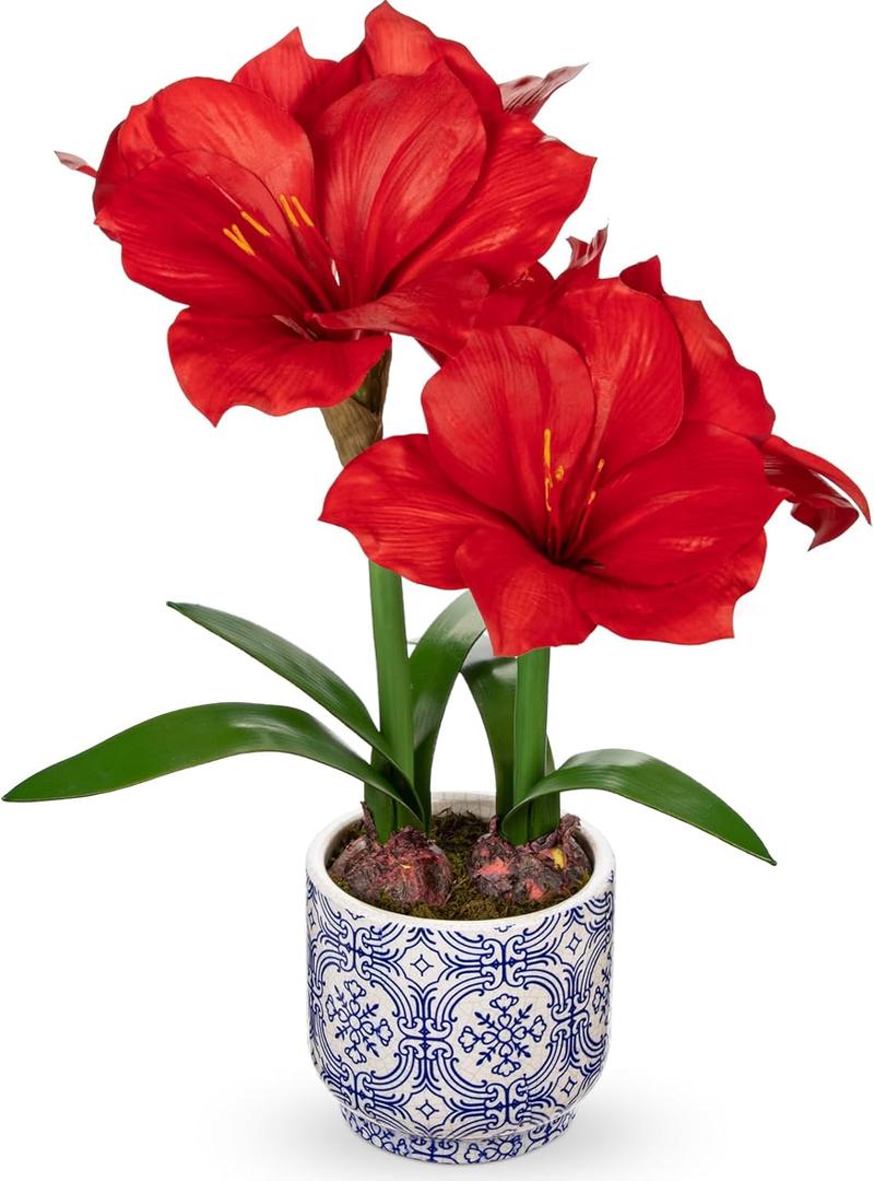 Briful Red Amaryllis Artificial Flowers in Blue Ceramic Pot 18.1" Faux Amaryllis Flower Arrangement with Decorative Bulbs Moss for Home Office Bathroom Table Shelf Décor