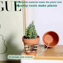 vensovo 3 Inch Terra Cotta & Terracotta Pots with Drainage - 20 Pack Clay Flowerpots, Succulent Nursery Planter Great for Plants, Crafts, Wedding Favor (Brown)