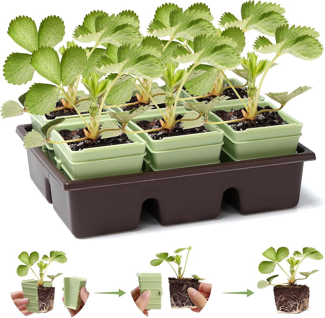 Side-Open Seed Starter Tray 4-Pack, 24 Cells Modular Design with Detachable Plant Cells, Extra-Large 2.36"x2.28" Cells, Reusable Seed Germination Kit for Indoor & Outdoor Gardening