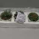 MyGift Assorted Artificial Succulent Plants - Decorative Fake Desert Plants with Pebble Fillers in White Ceramic Pots with Bamboo Saucers, Set of 3 (Round Assortment 3)