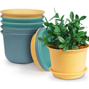 Hayder 6 Inch Plant Pots, 6 Pack Thick Plastic Flower Pots for Plants Indoor Outdoor, Planters with Drainage Holes and Saucers, Mix Color