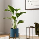 LE TAUCI Ceramic Plant Pots Indoor, 10+8+6 Inch Planters for Indoor Plants, Mid-Century Modern Flower Pots with Drainage Hole and Plug, Cylinder Round Planters, Reactive Glaze Blue