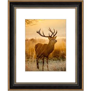 AUEAR,16x20 Picture Frame for 11x14 Photo With Mat or 16x20 Prints Without Mat,Vintage Style,Wall Mounting (Black and Ornate Gold)