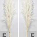 10 Stems 46" inch White Pampas Grass Decor Tall, Large Pompas Grass, Boho Neutral Home Decor Bouquet, Fluffy Pampass Grass for Floor Vase Wedding Floral Arrangements Wall Farmhouse Table Decor