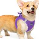 rabbitgoo Small Dog Harness, Step-in Soft Mesh Puppy Vest with Safety Buckle, Breathable Reflective Pet Harness for  Dogs, Purple L