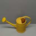Plastic Indoor Watering Can with Detachable Sprinkler Head - 68oz (1/2 Gallon) for House Plants and Flowers