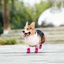 YAODHAOD Dog Shoes for Small Dogs, Puppy Dog Boots & Paw Protector for Winter Snowy Days, Anti-Slip Sole Dog Booties for Indoor Hardwood Floor 4PCS (Pink, Size: 2)
