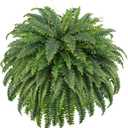 FOREST PRINCE 50" Artificial Boston Ferns, Fake Bush Plants, Large Faux Ferns with 96 Fronds for Outdoors Home Decor