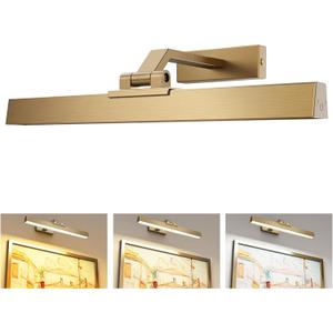 Afyuol Picture Lights for Wall, Brass Battery Operated Picture Light 16in Art Light CCT Dimmable Recharging Battery Wall Light with Remote Control for Living Room Gallery